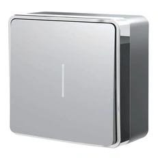 Изображение Выключатель одноклавишный с подсветкой Gallant (серебряный) W5010106